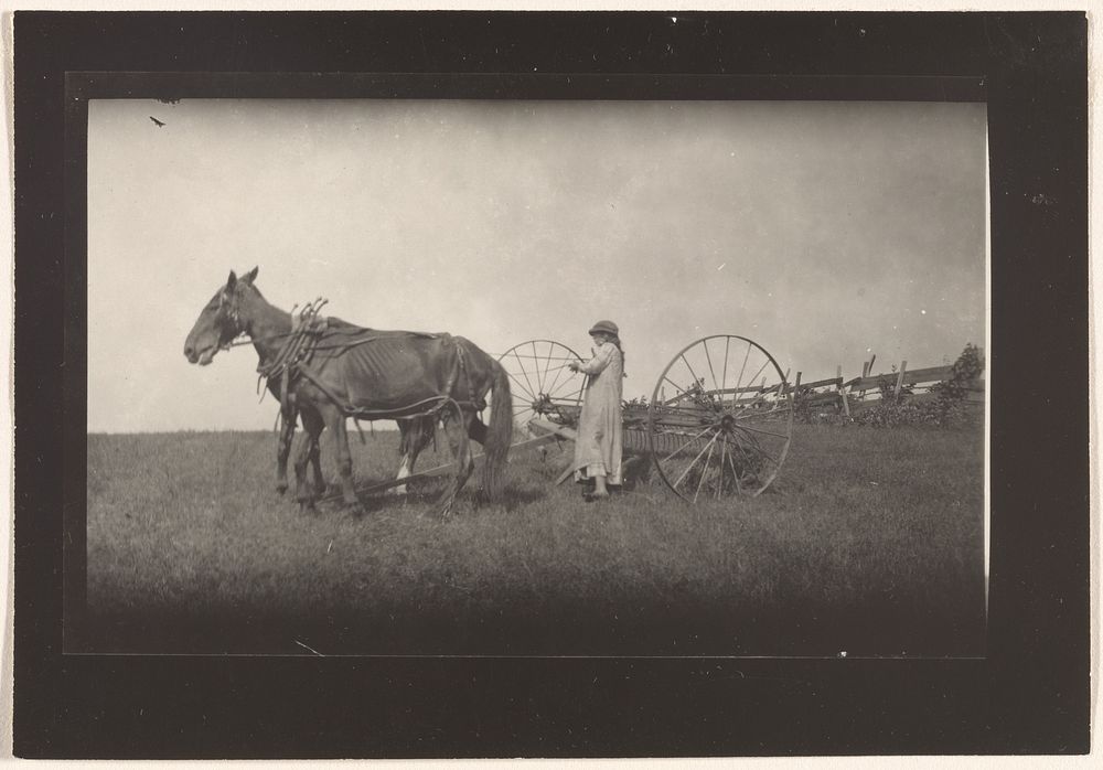 Farm Scene, Massachusetts by Lewis W Hine