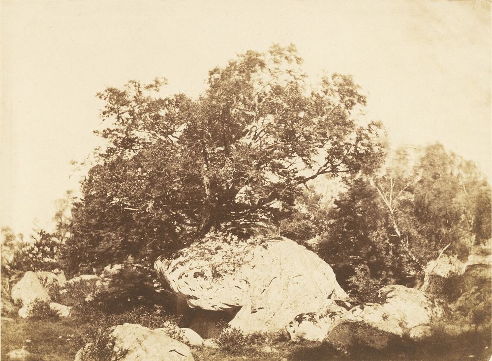 Boulder at Cabat, Epine Crossroads Forest of Fontainebleau by Gustave Le Gray
