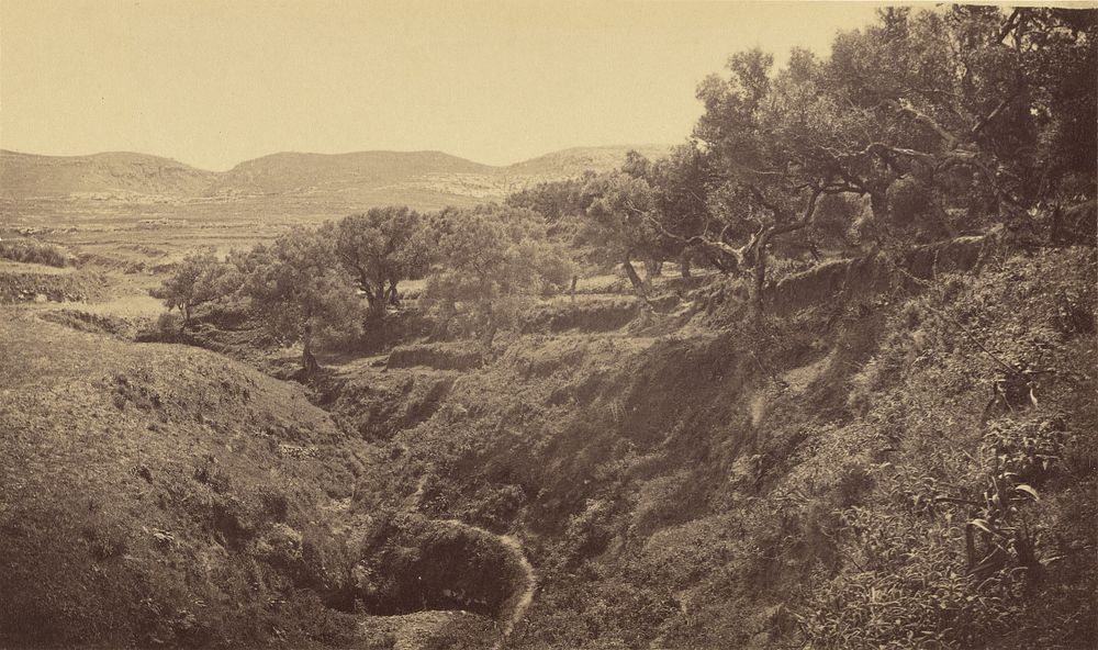Kaleppa [view of countryside]. by William J Stillman