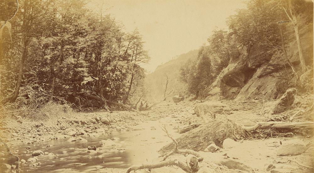 Landscape with a river, possibly in South America