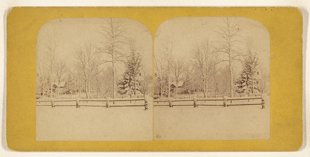 Park in Winter, No. 2 by Deloss Barnum