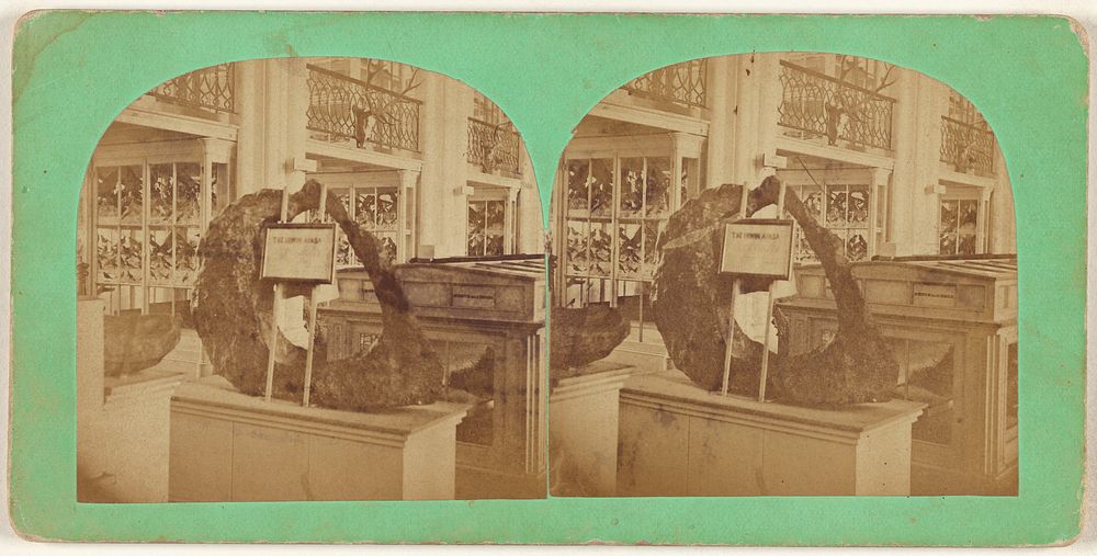 View of the Interior of the Smithsonian Institution. by Bell and Brother