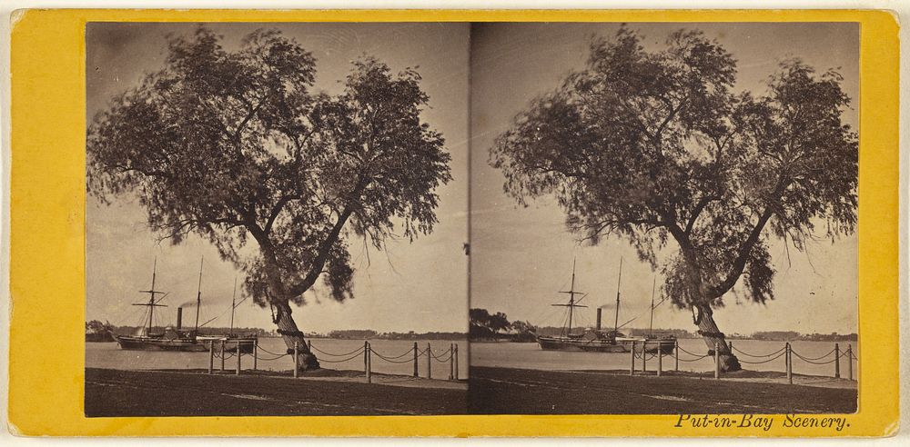 Willow Tree. Planted by Com. Perry and other survivors of the battle of Lake Erie, to mark the burial place of the slain. by…