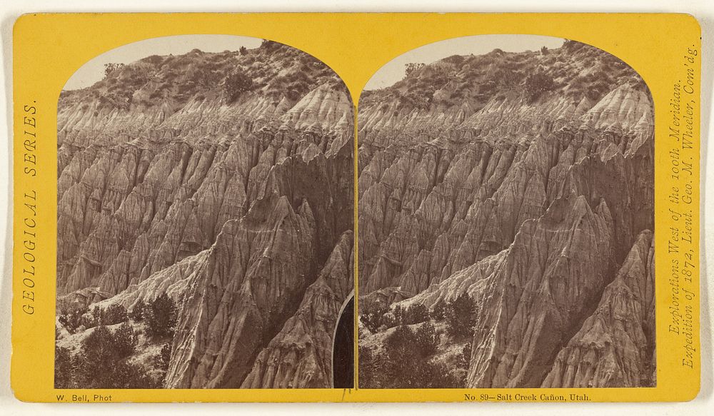 Salt Creek Canon, Utah. by William H Bell