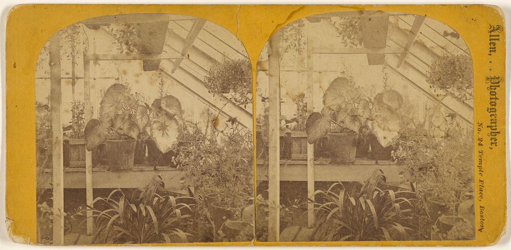 Greenhouse. by Edward L Allen