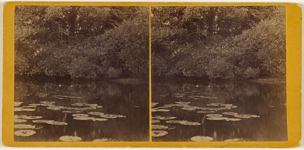 View of Lake Mahopac, New York, with lily pads by Louis Alman and Co
