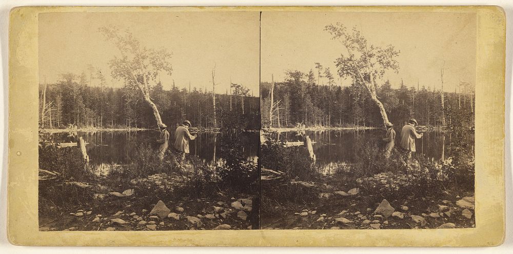 View on the South Lake, Catskill Mountain. by Edward Anthony