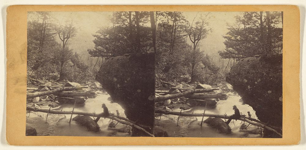 View in the Kauterskill Gorge. by Edward Anthony