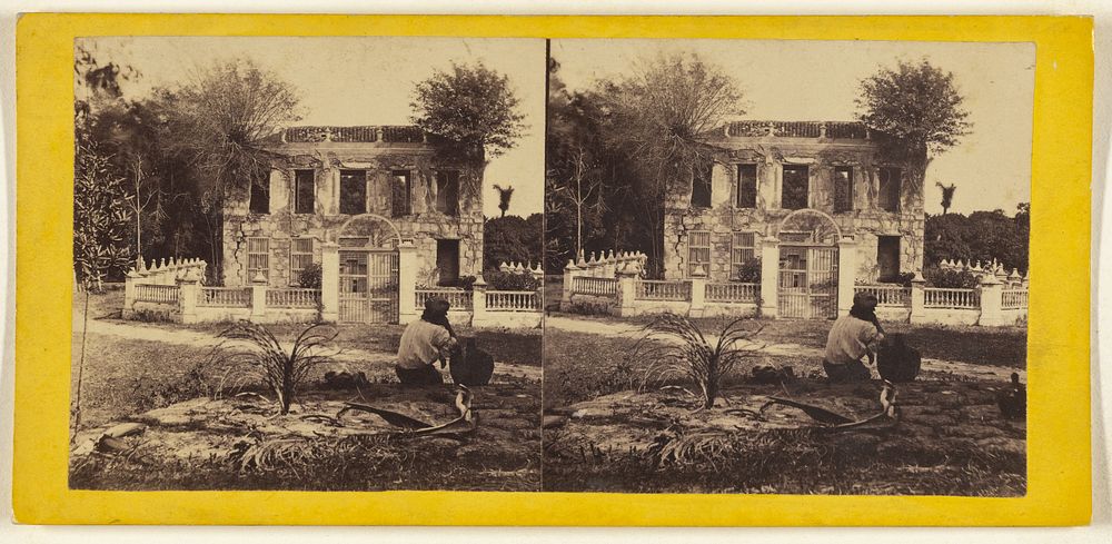 The Ruins of the Bishop's Garden. Havana. by George N Barnard, Edward and Henry T Anthony and Co and Kuhns