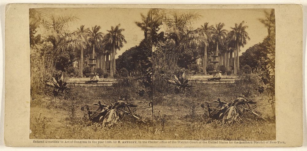 View at the Bishop's Garden. Havana. by George N Barnard, Edward and Henry T Anthony and Co and Kuhns