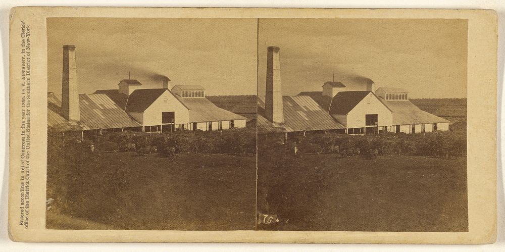 Plantation View. Sugar Mill in operation, with piles of cane. by George N Barnard, Edward and Henry T Anthony and Co and…