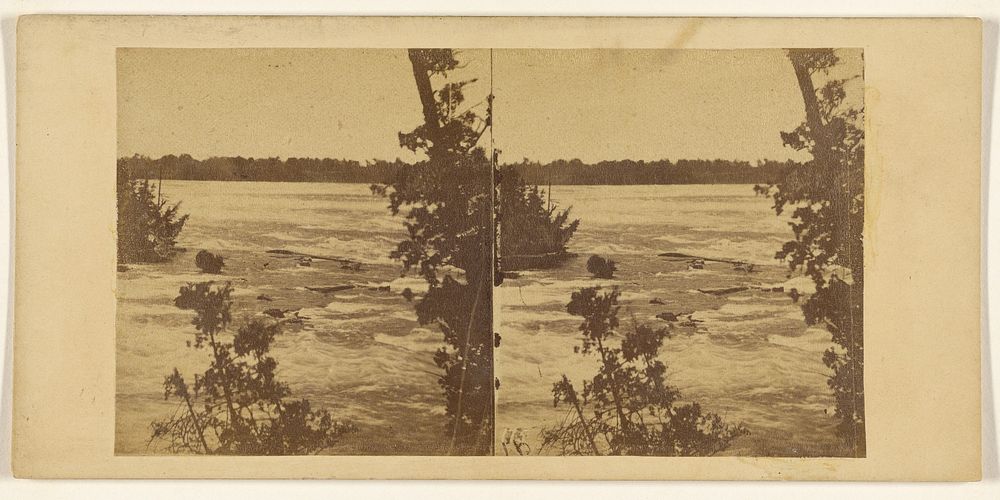 The Rapids from Goat Island. by Edward Anthony