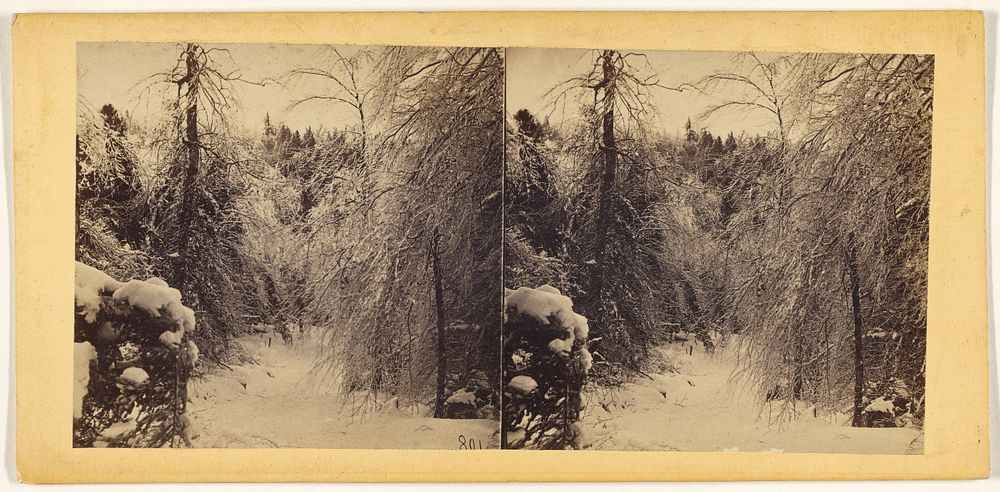 Winter in the Catskills. by Edward Anthony