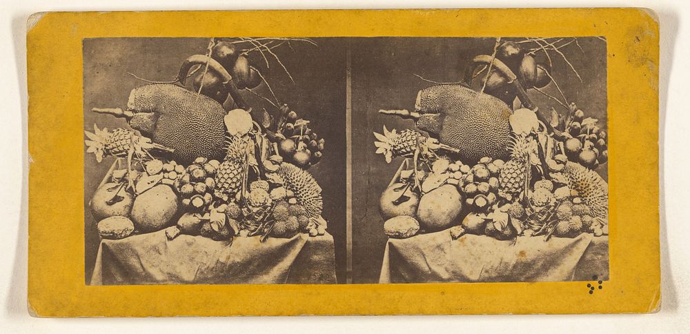 Fruits of Java. by Edward and Henry T Anthony and Co