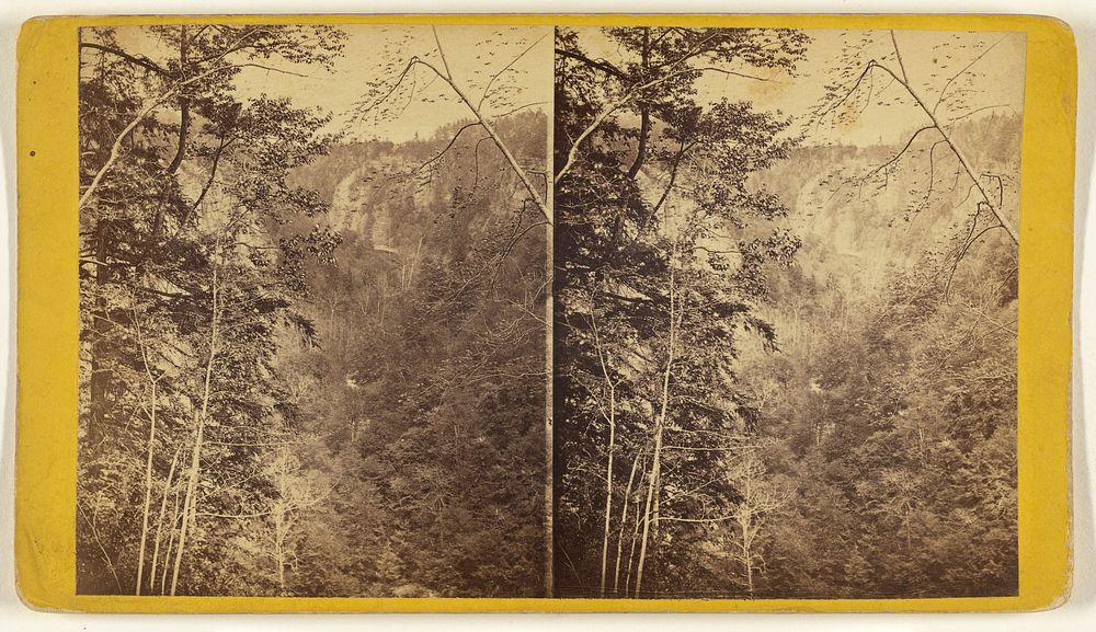 Taughannock Ravine, from West Bank above the fall, near Ithaca, N.Y. by Edward and Henry T Anthony and Co