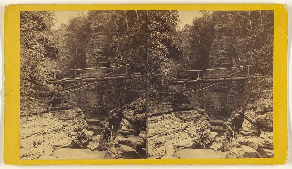 Foot Bridge over the Flume - Enfield Ravine. by Edward and Henry T Anthony and Co