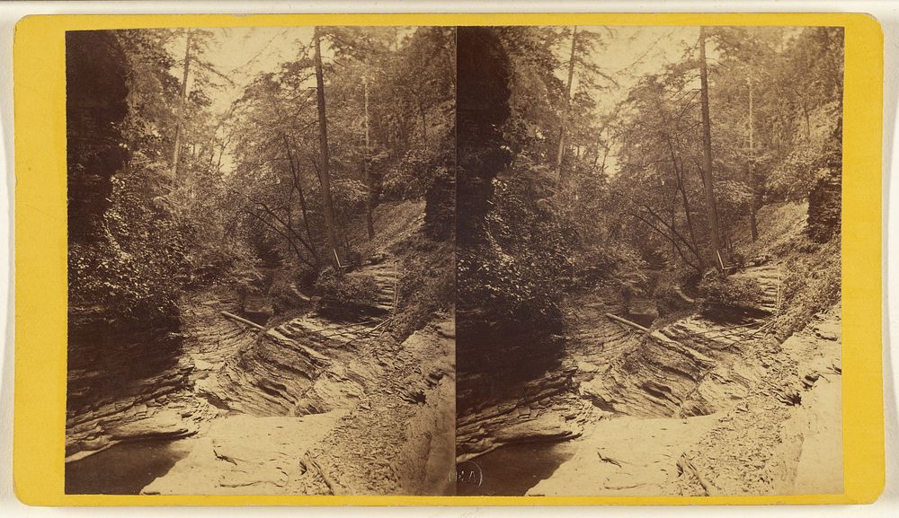 Scenery at Watkins Glen and Vicinity, N.Y. Still Water Gorge, Glen Alpha. Section No. 1. by Edward and Henry T Anthony and Co
