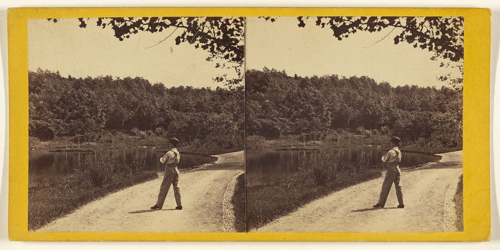 Central Park. (New York.) View on the Upper Lake. by Edward and Henry T Anthony and Co