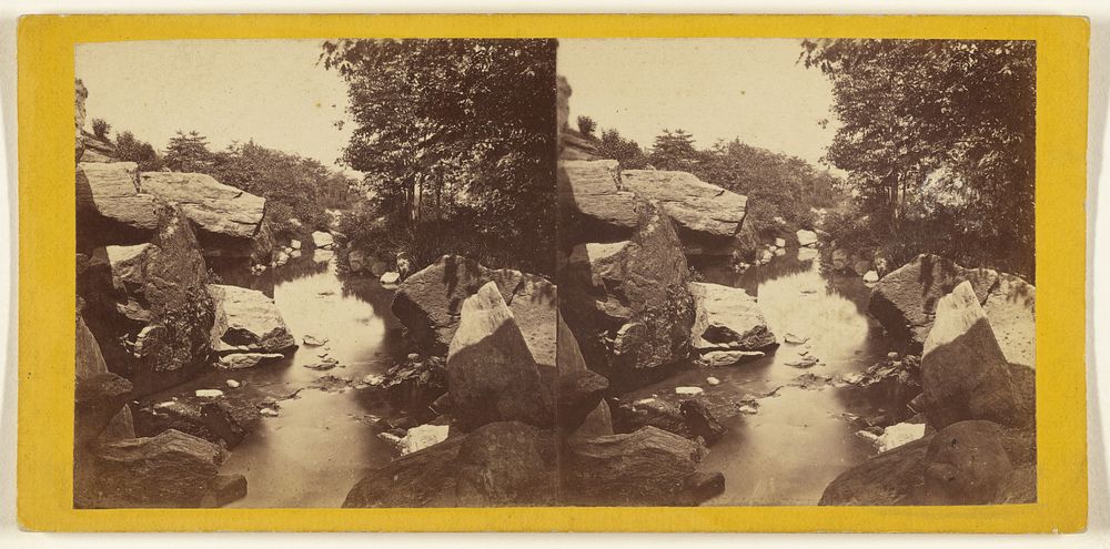 Central Park. (New York.) The Brook near the Upper Lake. by Edward and Henry T Anthony and Co