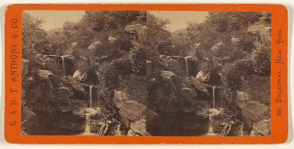 Central Park, New York. The Cascade. by Edward and Henry T Anthony and Co