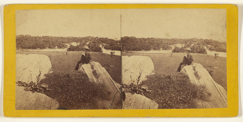A Visit to the "Central Park" in the Summer of 1863. Looking N.E. from the Carriage Circle. by Edward and Henry T Anthony…