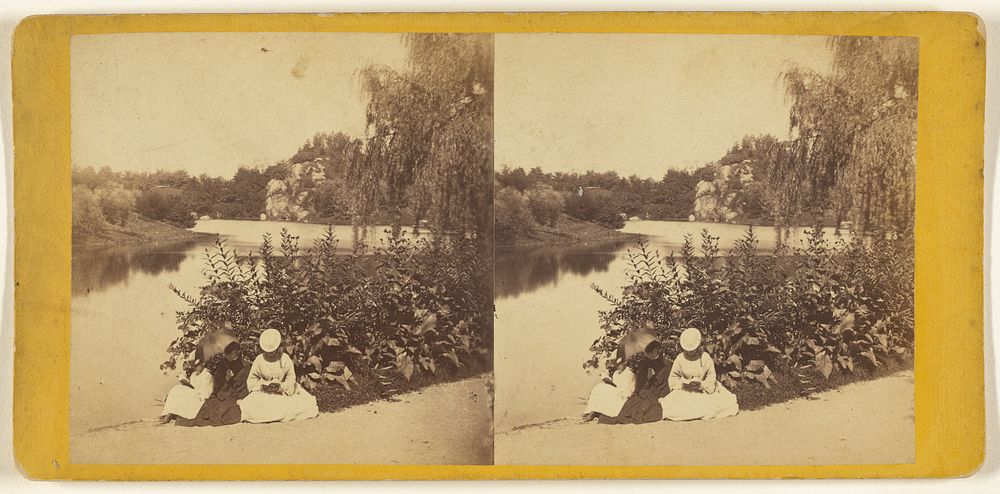 The Pond, Central Park. by Edward and Henry T Anthony and Co