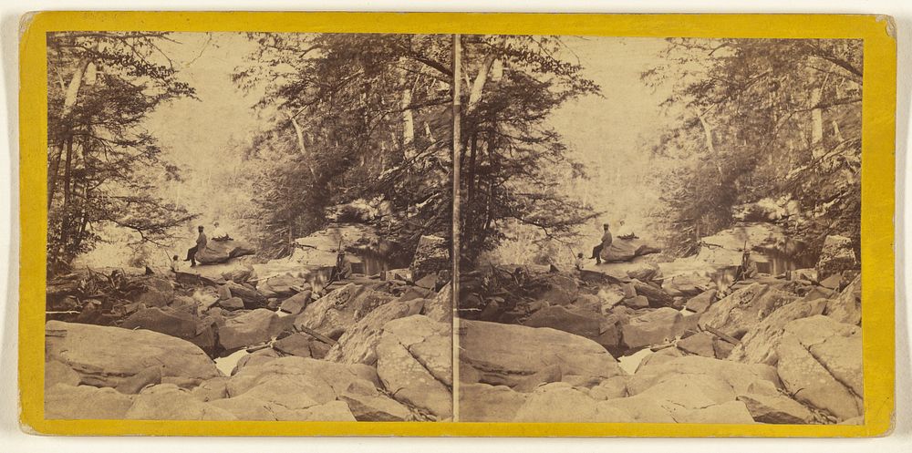 The Glens of the Catskills. View from the top of the five Cascades, looking down Haines Gorge. by Edward and Henry T Anthony…