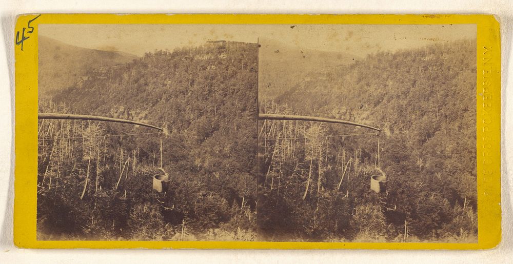 The Glens of the Catskills. View from the top of the Kauterskill Fall, looking down the Glen. by Slee Brothers George M and…