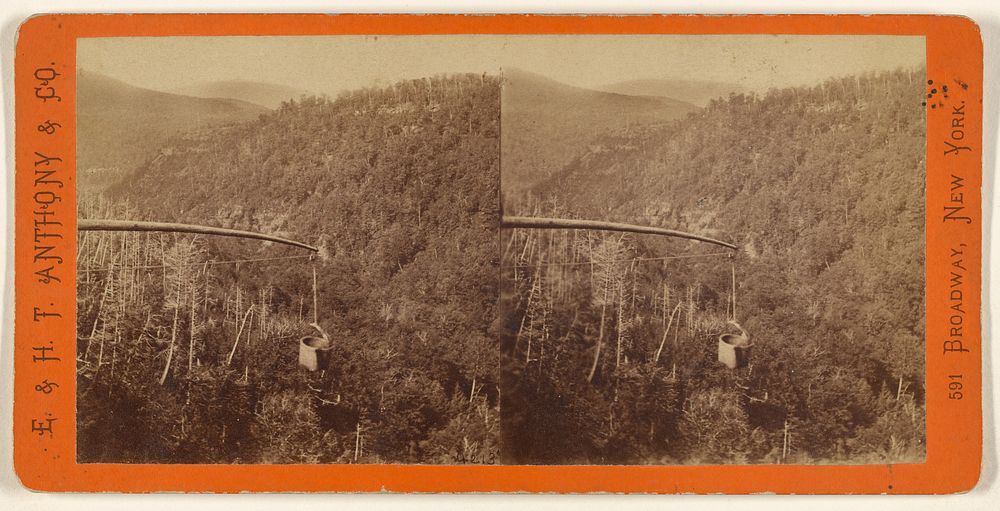 The Glens of the Catskills. View from the top of Kauterskill Fall, looking down the Glen. by Edward and Henry T Anthony and…