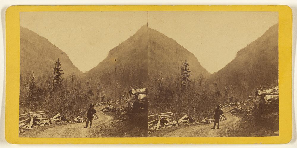 The Glens of the Catskills. Entrance from the North to Stony Clove Notch. by Edward and Henry T Anthony and Co