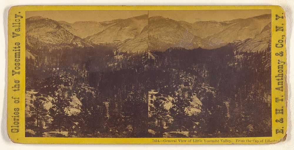 General View of Little Yosemite Valley. From the Cap of Liberty. by Edward and Henry T Anthony and Co
