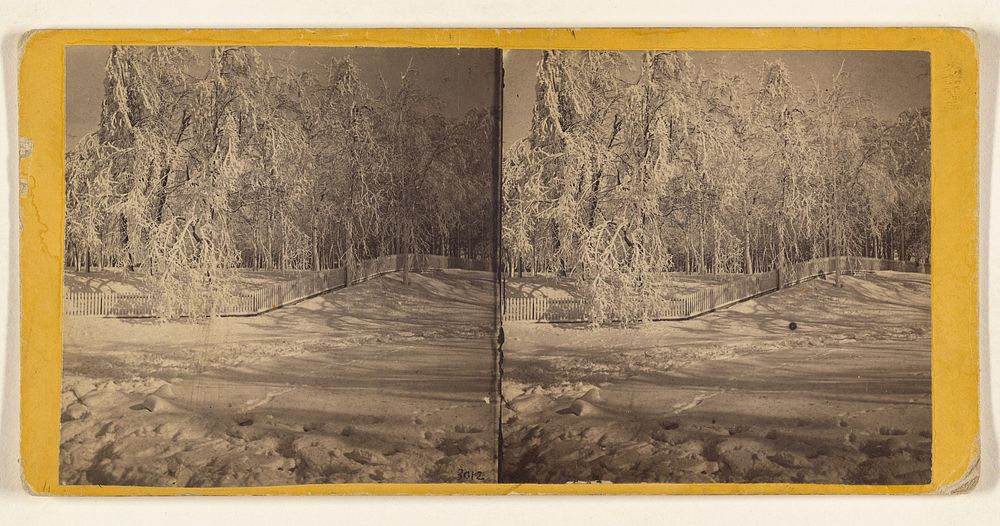 Niagara in Winter. Trees covered with Ice, Ferry Grove, American side. by Edward and Henry T Anthony and Co