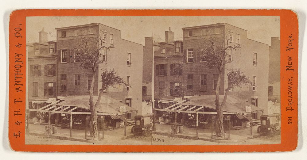 The old Stuyvesant Pear Tree, corner 3d Avenue and 13th St. [New York City] by Edward and Henry T Anthony and Co