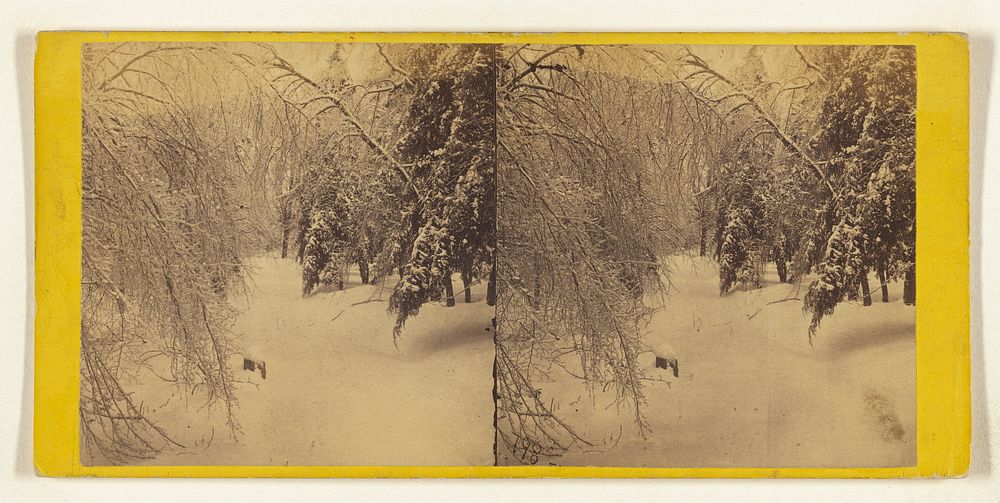 Winter in the Catskills. [Ice and snow] by Edward and Henry T Anthony and Co