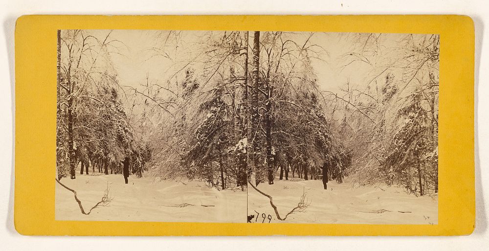 Winter in the Catskills. [Ice and Snow] by Edward and Henry T Anthony and Co