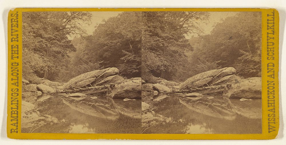 Wissahickon Creek. Ostrich Eggs. by Edward and Henry T Anthony and Co