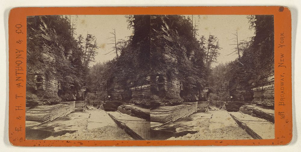 Scenery of Ithaca and Vicinity, N.Y. The Gateway of Rocks - Entrance to Enfield Ravine. by Edward and Henry T Anthony and Co