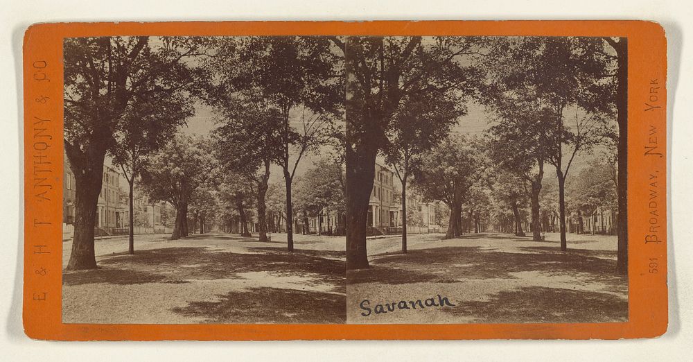 South Broad Street, Looking West from Drayton Street. [Savannah, Georgia]. by Edward and Henry T Anthony and Co