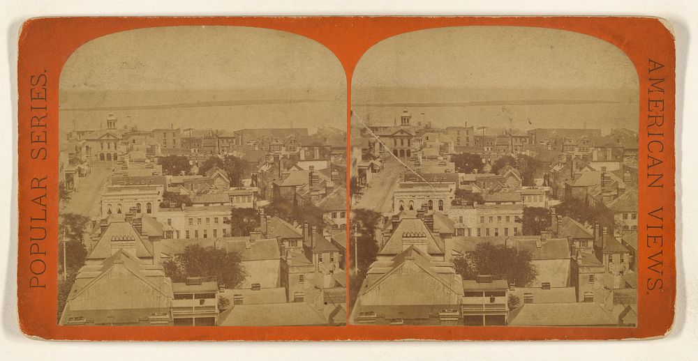 From the Tower of St. Michaels Church Looking East. [Charleston, S.C.] by Edward and Henry T Anthony and Co