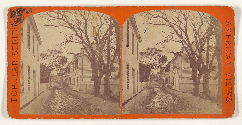 St. Georges Street. [St. Augustine, Florida] by Edward and Henry T Anthony and Co