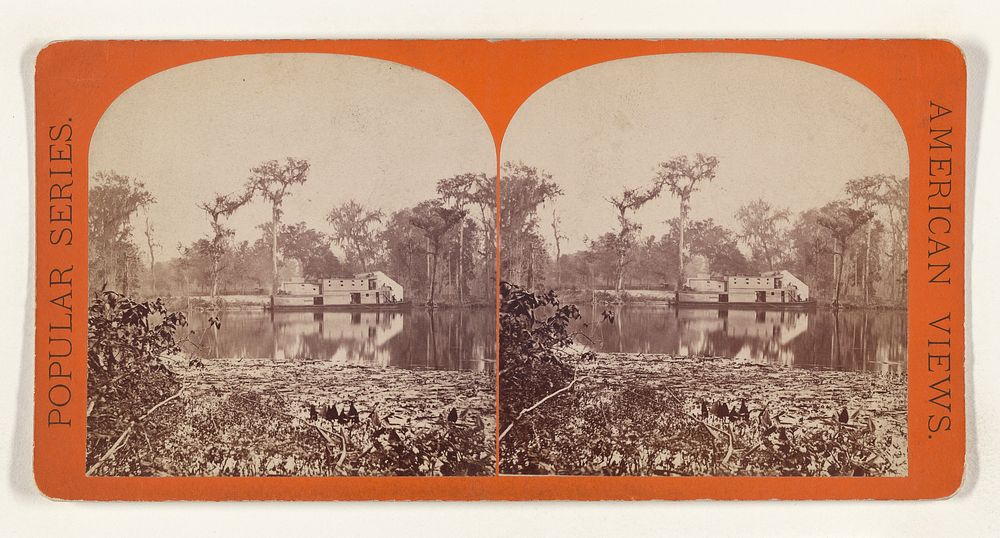 Silver Springs. General View. [on the Ocklawaha River, Florida] by Edward and Henry T Anthony and Co
