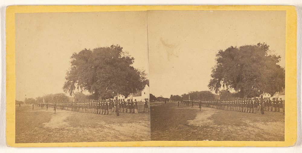 29th Regt. of black volunteers, Beaufort, South Carolina, standing at attention