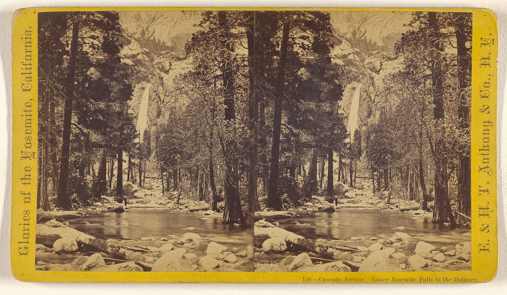 Cascade Avenue. Lower Yosemite Falls in the distance. by Edward and Henry T Anthony and Co