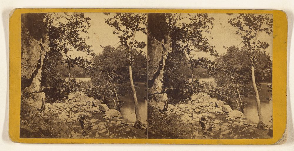 View on the French Broad River. by Edward and Henry T Anthony and Co
