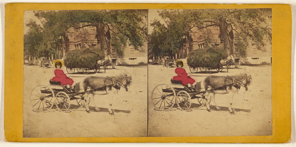 Woman in donkey-drawn carriage, hay wagon in background by Charles A Beckford