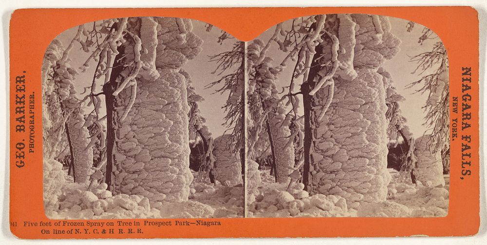 Five feet of Frozen Spray on Tree in Prospect Park - Niagara[.] On line of N.Y.C. & H.R.R.R. by George Barker