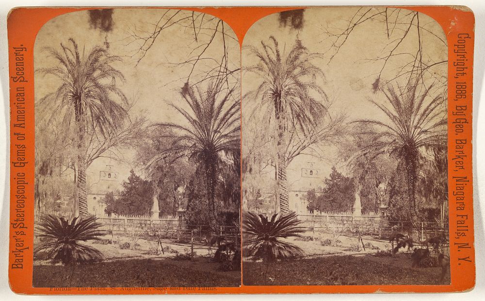 Florda - The Plaza, St. Augustine, Sago and Date Palms. by George Barker