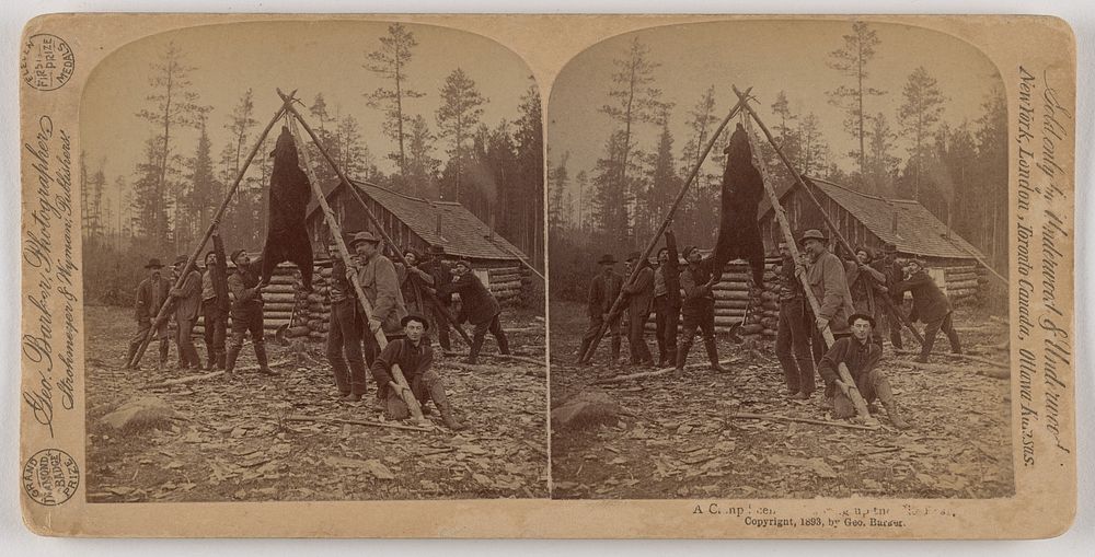 A Camp Scene - Hanging Up the Big Bear. by George Barker