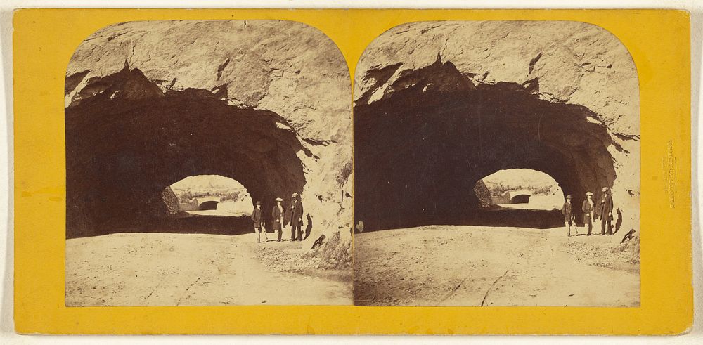 Tunnel, Central Park, New York City by Deloss Barnum