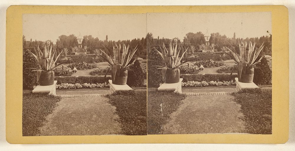 Shaw's Garden. General View from Palm-House. [St. Louis, Missouri] by Boehl and Koenig